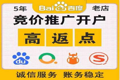 百度推广的投放策略与效果分析
